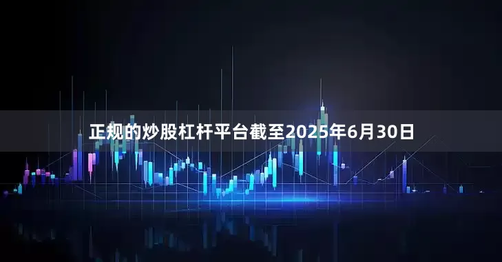 正规的炒股杠杆平台截至2025年6月30日