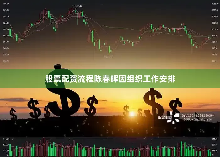 股票配资流程陈春晖因组织工作安排