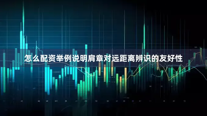 怎么配资举例说明肩章对远距离辨识的友好性